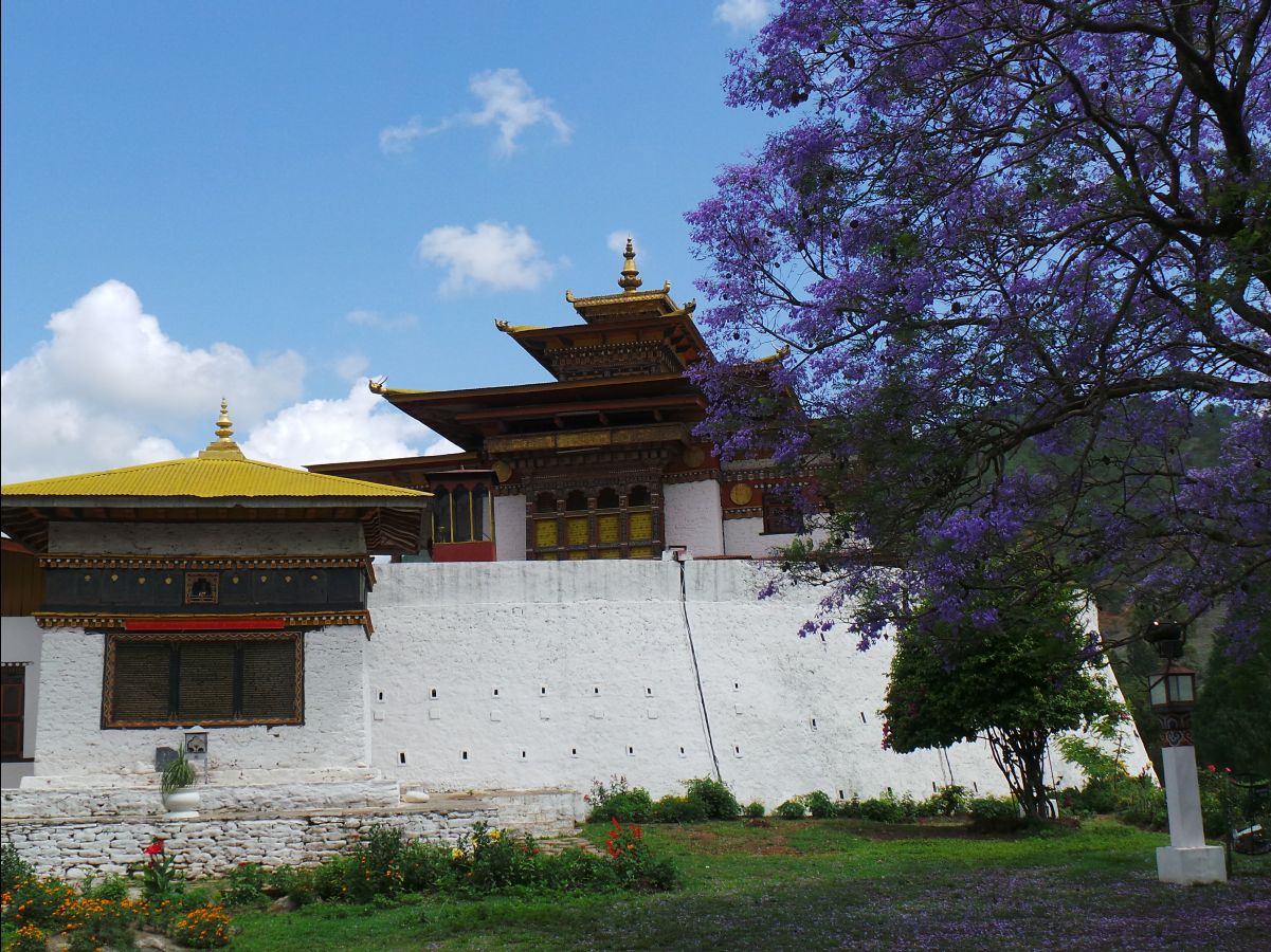 Punakha Dzong55